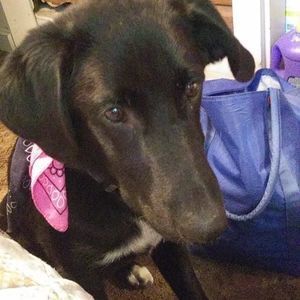 Meet your Posher, Melanie